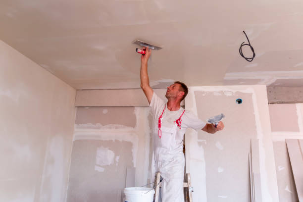 Best Drywall Repair  in USA